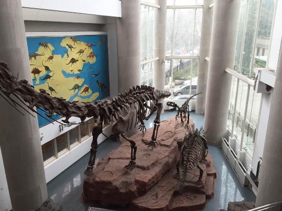 Nanjing Paleontology Museum